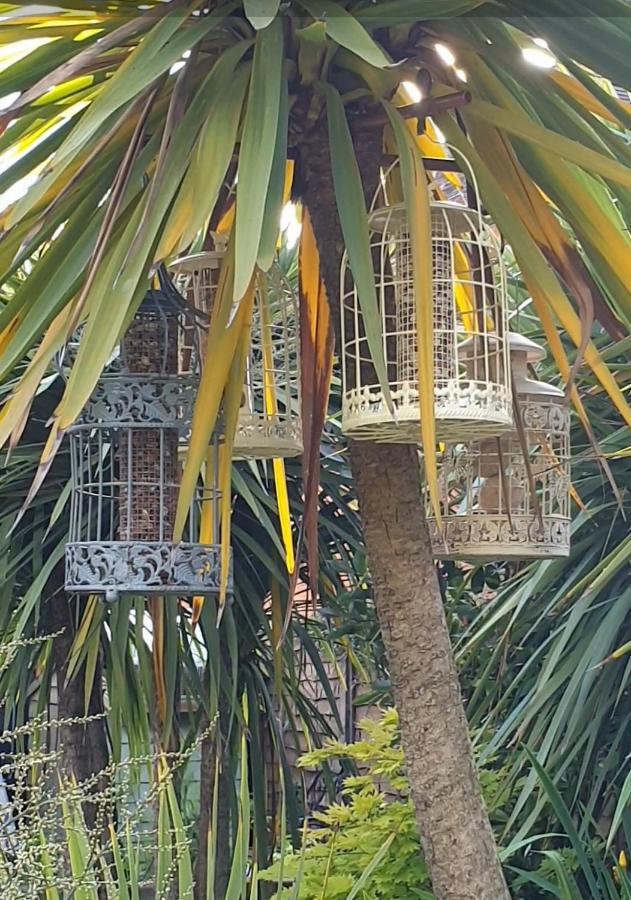Tropical Garden Oasis Rooms Бирмингем Экстерьер фото